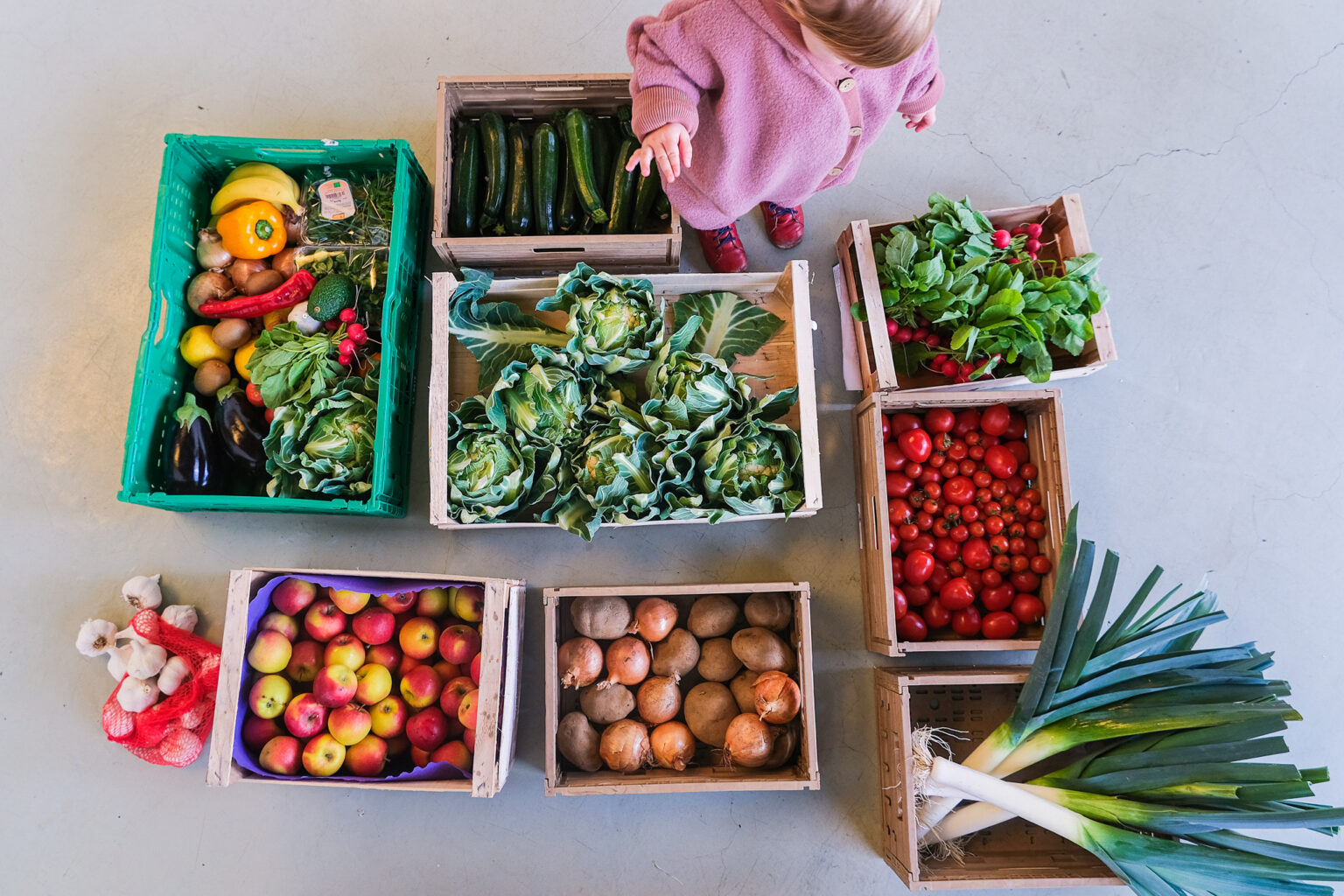 Gemüsekisten