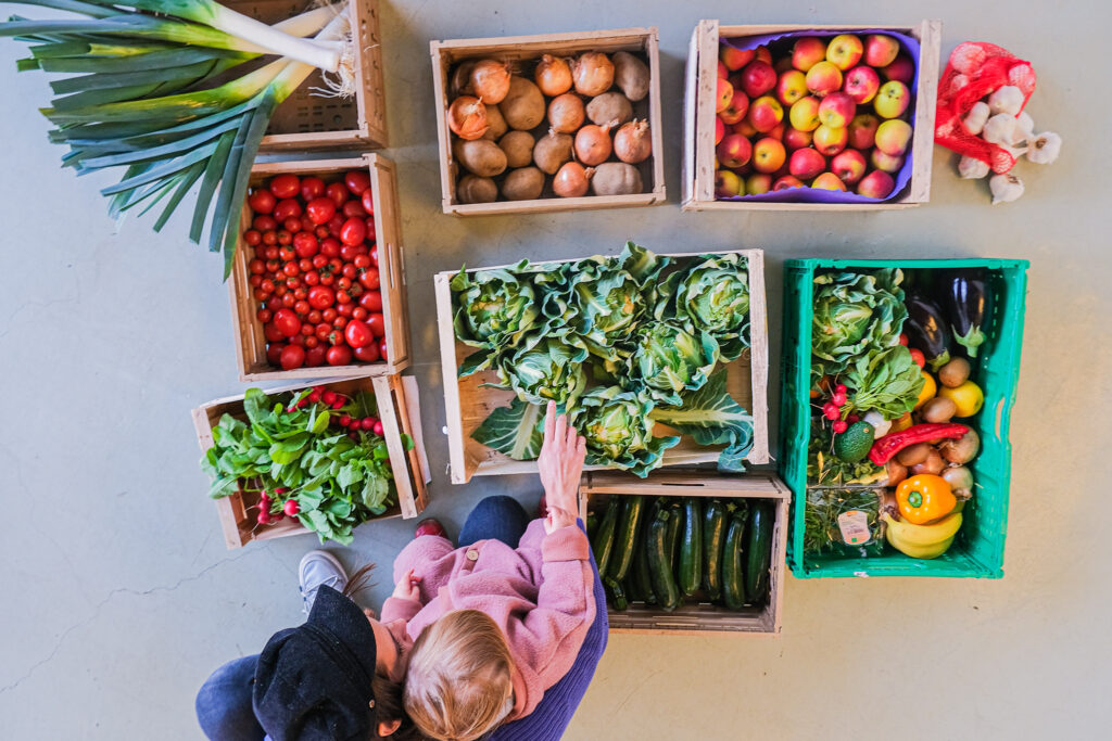 Gemüse Kisten